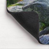 Amerikaanse, Virginia, Shenandoah National Park. Muismat (Hoek)