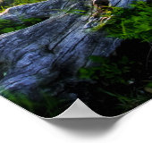 Amerikaanse, Virginia, Shenandoah National Park. Poster (Hoek)