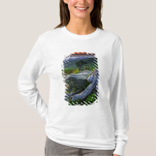 Amerikaanse, Virginia, Shenandoah National Park. T-shirt
