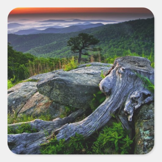 Amerikaanse, Virginia, Shenandoah National Park. Vierkante Sticker (Voorkant)