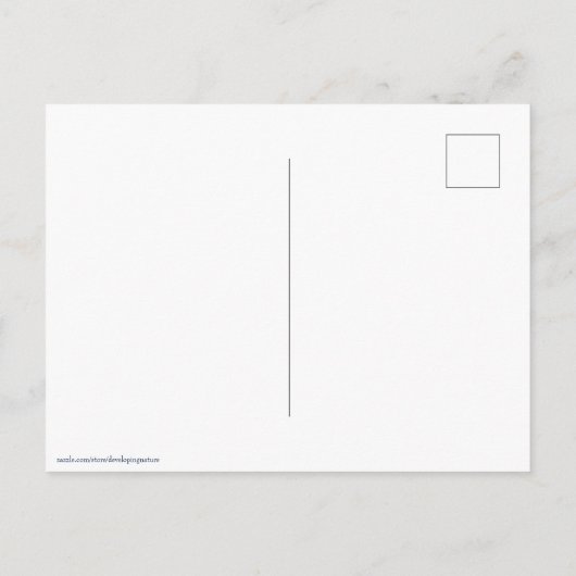 Amerikaanse vlag 2412 briefkaart (Achterkant)