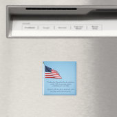 Amerikaanse vlag 2412 magneet (Insitu (Vaatwasser))