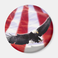 Amerikaanse vlag & adelaar magneet