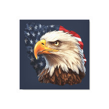 Amerikaanse vlag Bald Eagle