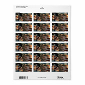 Amerikaanse vlag Bald Eagle Etiket (Full Sheet)