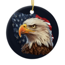 Amerikaanse vlag Bald Eagle