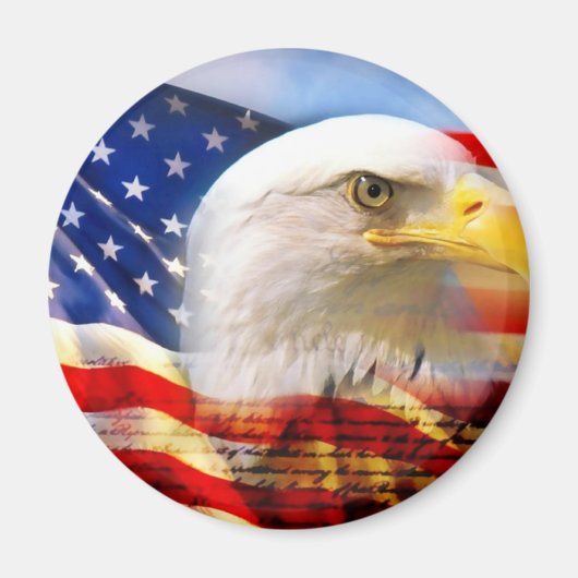 Amerikaanse vlag Bald Eagle Magneet (Voorkant)