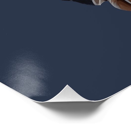 Amerikaanse vlag Bald Eagle Perfect Poster (Hoek)