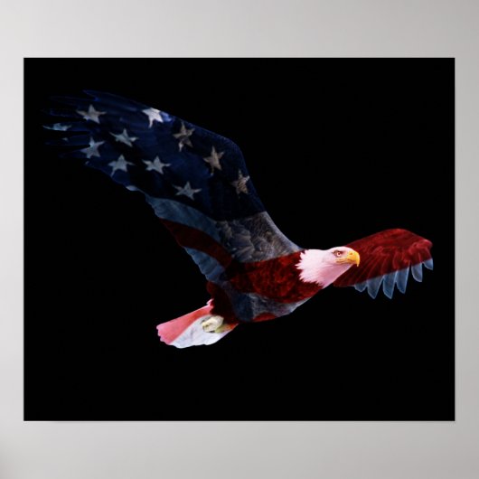 Amerikaanse vlag Bald Eagle Poster (Voorkant)