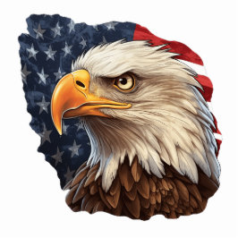 Amerikaanse vlag Bald Eagle Staand Fotobeeldje