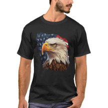 Amerikaanse vlag Bald Eagle