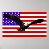 Amerikaanse vlag Bald Eagle USA Poster (Voorkant)