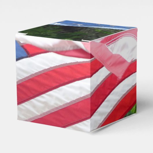 Amerikaanse vlag bedankdoosjes (Voorkant Zijde)