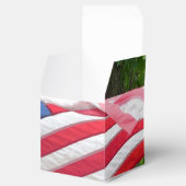 Amerikaanse vlag bedankdoosjes (Geopend)