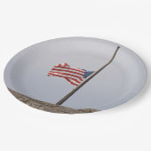 Amerikaanse vlag bij Half Mast (Verenigde Staten) Papieren Bordje (Gekanteld)