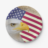 Amerikaanse vlag borden, wij de mensen / USA Papieren Bordje (Voorkant)