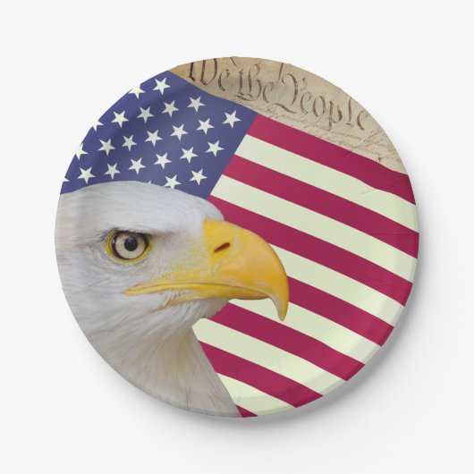 Amerikaanse vlag borden, wij de mensen / USA Papieren Bordje (Voorkant)