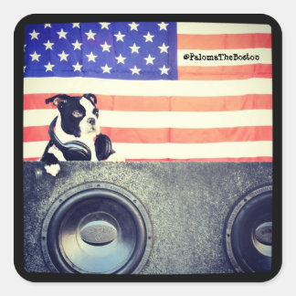 Amerikaanse vlag, Boston Terrier sticker