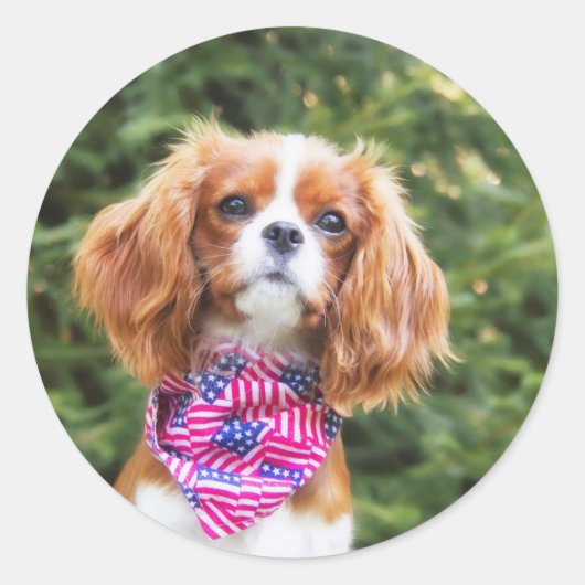 Amerikaanse vlag Cavalier King Charles Spaniel Pup Ronde Sticker (Voorkant)