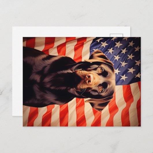 Amerikaanse vlag chocolade labrador briefkaart (Voorkant / Achterkant)