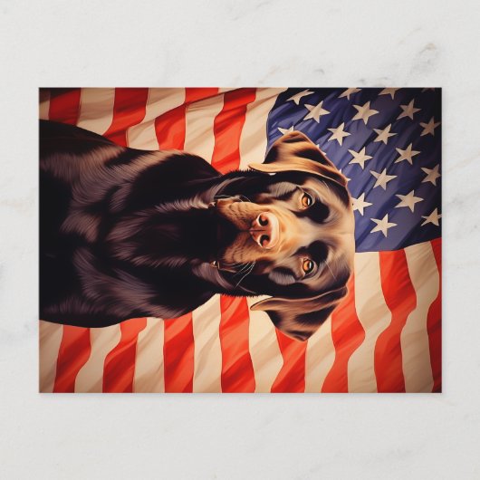 Amerikaanse vlag chocolade labrador briefkaart (Voorkant)