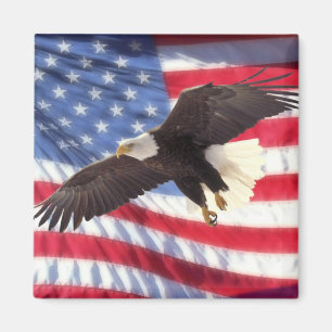 Amerikaanse vlag & Eagle Magnet