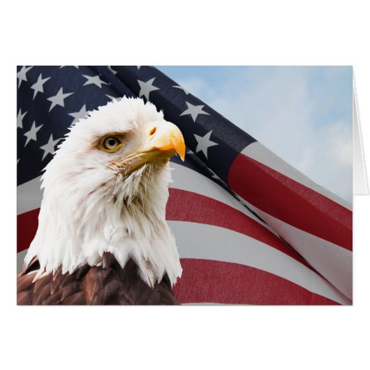 Amerikaanse vlag Eagle Patriotic (Voorkant Horizontaal)