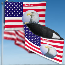 Amerikaanse vlag en adelaar