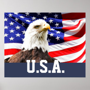 Amerikaanse vlag en Amerikaanse zeearend Poster