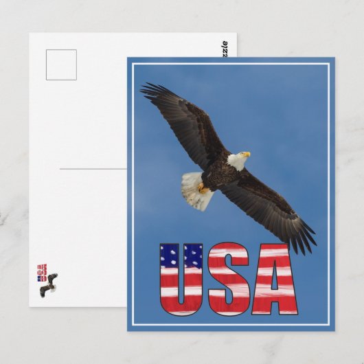 Amerikaanse vlag en Bald Eagle Briefkaart (Voorkant / Achterkant)