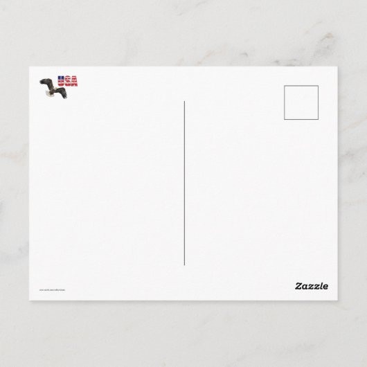 Amerikaanse vlag en Bald Eagle Briefkaart (Achterkant)