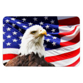 Amerikaanse vlag en Bald Eagle Magneet (Horizontaal)