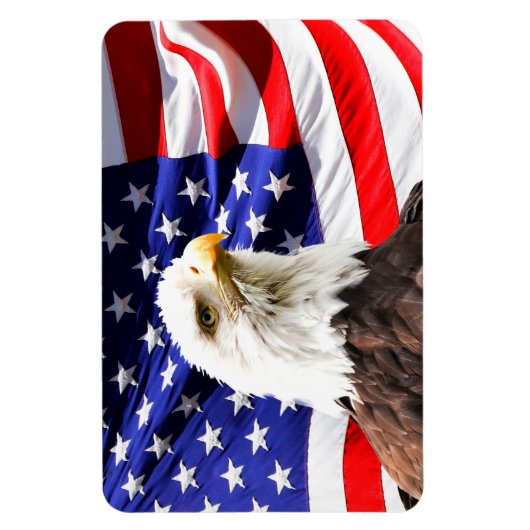 Amerikaanse vlag en Bald Eagle Magneet (Verticaal)