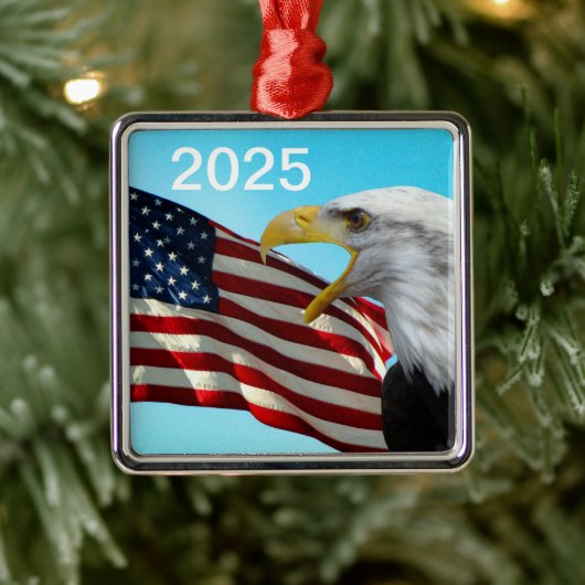 Amerikaanse vlag- en Bald Eagle Patriotic Ornament (Boom)
