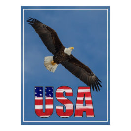 Amerikaanse vlag en Bald Eagle Perfect Poster