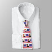 Amerikaanse vlag en Eagle Stropdas (Gebonden)
