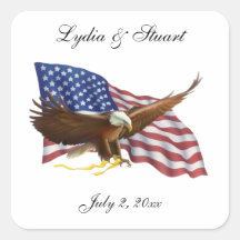 Amerikaanse vlag en Eagle