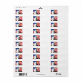 Amerikaanse vlag etiket (Full Sheet)