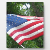 Amerikaanse vlag fotoplaat (Voorkant)