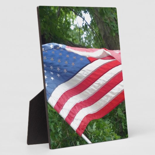 Amerikaanse vlag fotoplaat (Zijkant)