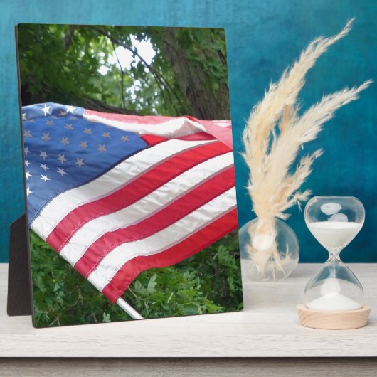 Amerikaanse vlag fotoplaat (Zijkant)