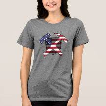 Amerikaanse Vlag Geologie Steenhamer Logo