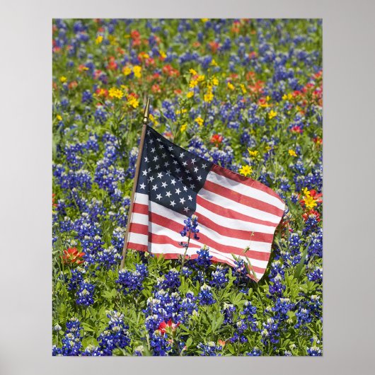 Amerikaanse vlag in veld van Blue Bonnets, Poster (Voorkant)