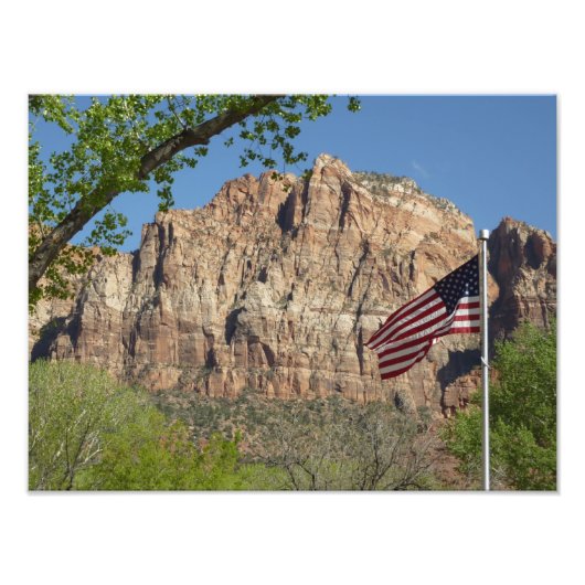 Amerikaanse vlag in Zion National Park I Foto Afdruk (Voorkant)