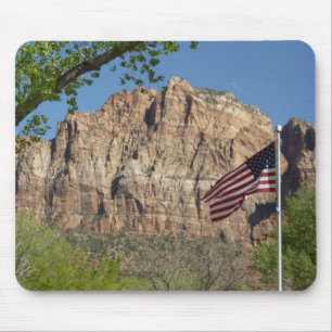 Amerikaanse vlag in Zion National Park I Muismat