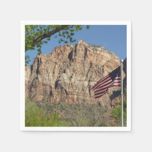 Amerikaanse vlag in Zion National Park I Servet