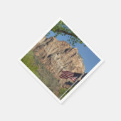 Amerikaanse vlag in Zion National Park I Servet (Hoek)