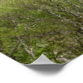 Amerikaanse vlag in Zion National Park II Poster (Hoek)