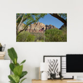 Amerikaanse vlag in Zion National Park II Poster (Thuiskantoor)