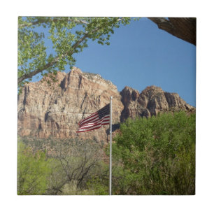 Amerikaanse vlag in Zion National Park II Tegeltje
